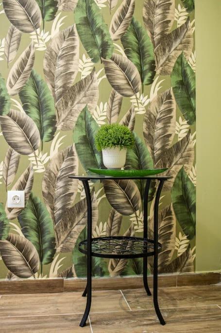 Apartamento Venus - Oktogon Ii Budapeste